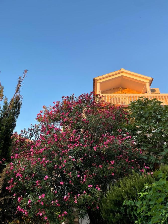 Sana * Sveti Stefan